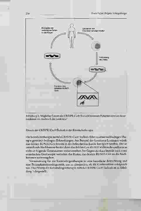 Vorschauseite 6: Chancen und Risiken der Geneditiemng bei genetisch bedingten Erkrankungen
