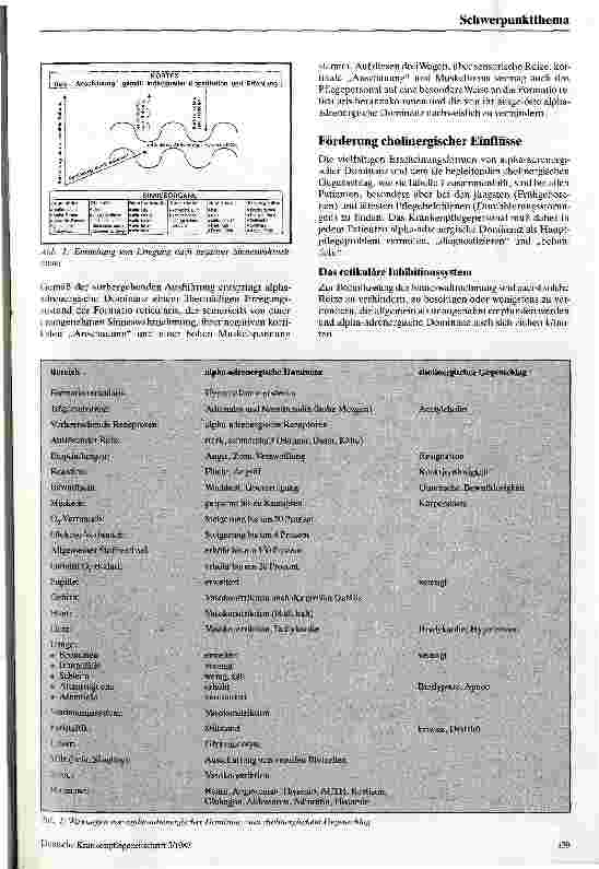 Vorschauseite 2: Cholinergische Reizpflege Entwurf einer neurophysiologischen Krankenpflegetheorie