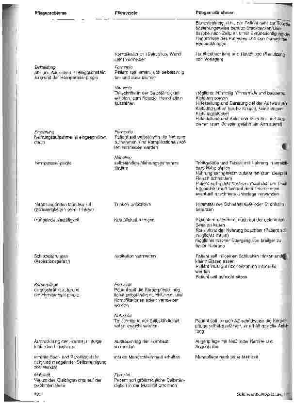 Vorschauseite 2: Die Entwicklug von Standards in der Krankenpflege 3. Folge: Die bisherige Verbreitung von Standards