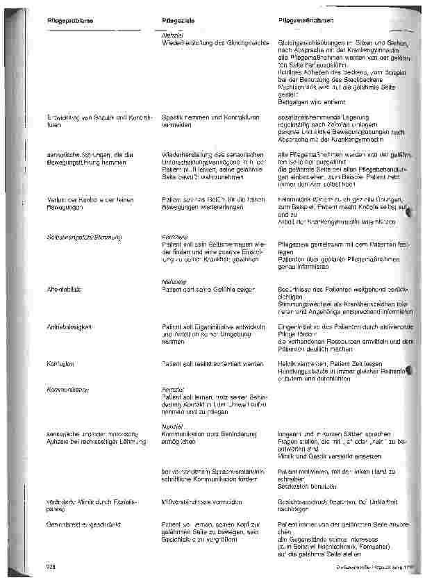 Vorschauseite 3: Die Entwicklug von Standards in der Krankenpflege 3. Folge: Die bisherige Verbreitung von Standards