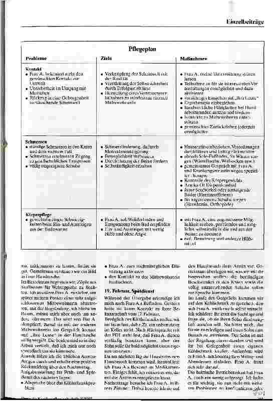 Vorschauseite 3: Pflegeplanung im Altenheim Ein Pflegebericht
