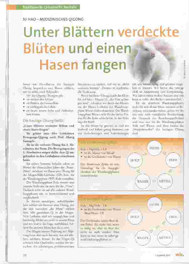 Vorschauseite 1: Unter Blättern verdeckte Blüten und einen Hasen fangen