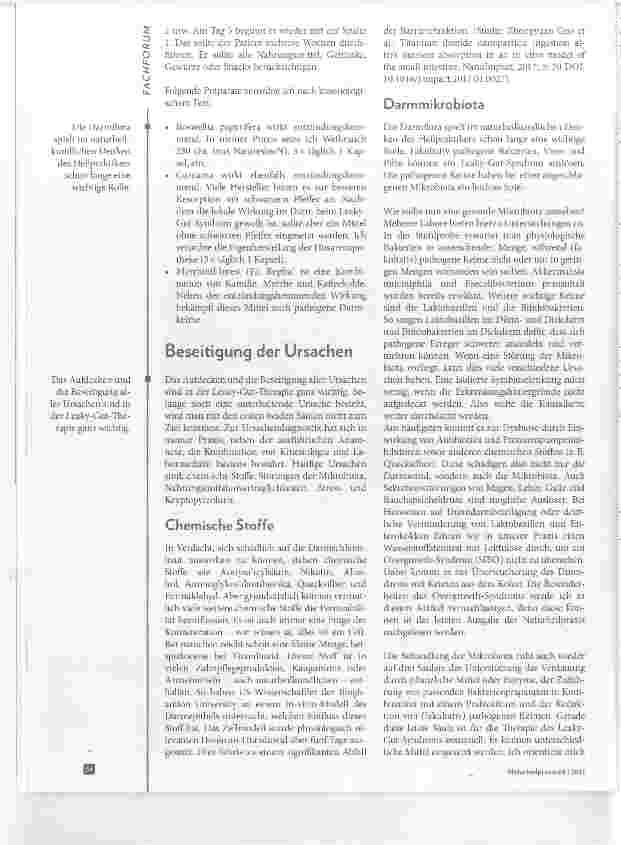 Vorschauseite 3: Leaky-Gut-Syndrom Ursachen und Therapieansätze