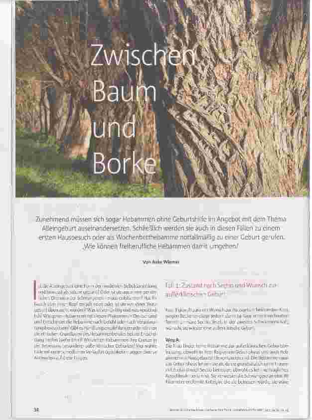 Vorschauseite 1: Zwischen Baum und Borke