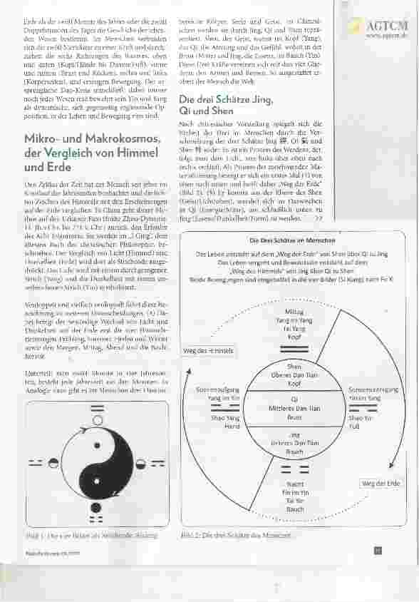 Vorschauseite 2: San Bao Die drei Schätze Jing, Qi und Shen