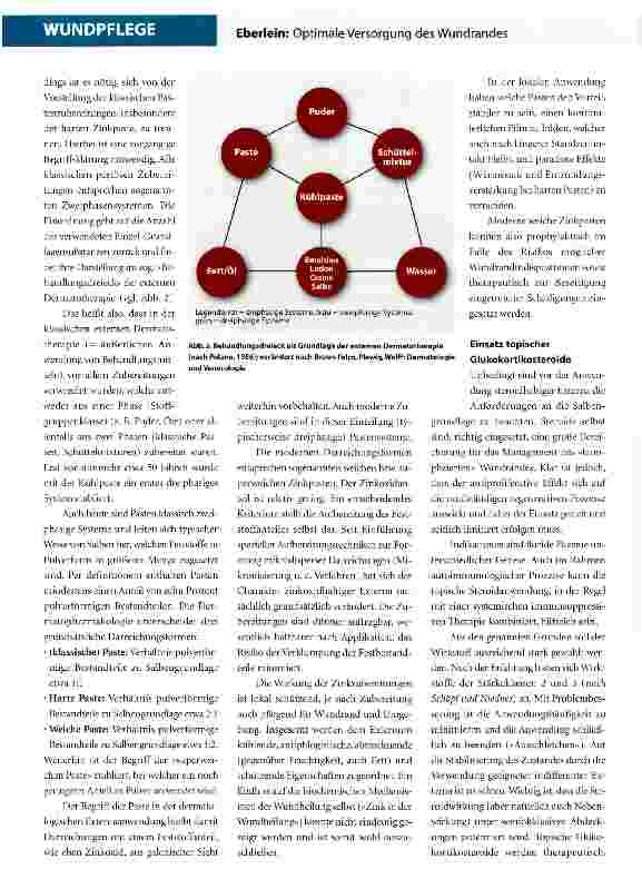 Vorschauseite 3: Optimale Versorgung des Wundrandes