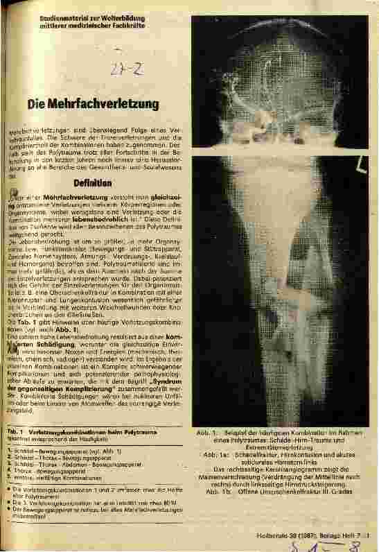 Vorschauseite 1: Die Mehrfachverletzung