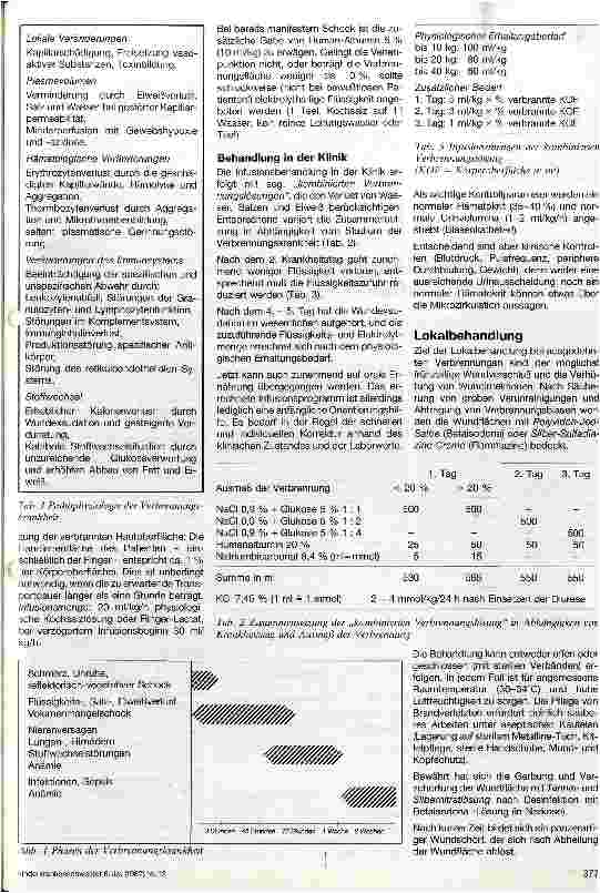 Vorschauseite 2: Therapie der Verbrennungskrankheit