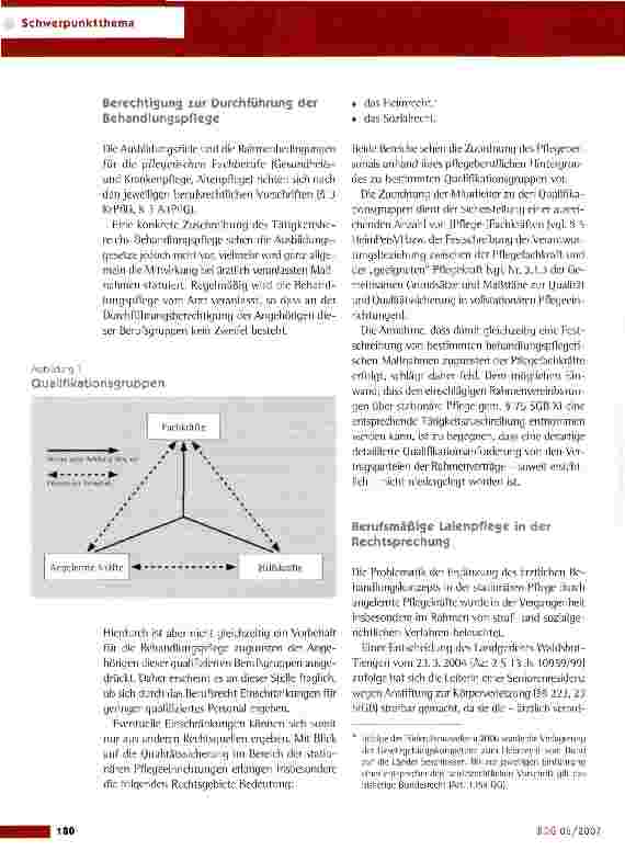 Vorschauseite 3: Neuverteilung der Aufgaben im Gesundheitswesen - Chancen und Risiken für die Pflege
