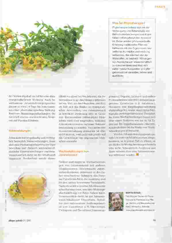 Vorschauseite 2: Johanniskraut eine phytotherapeutische Intervention