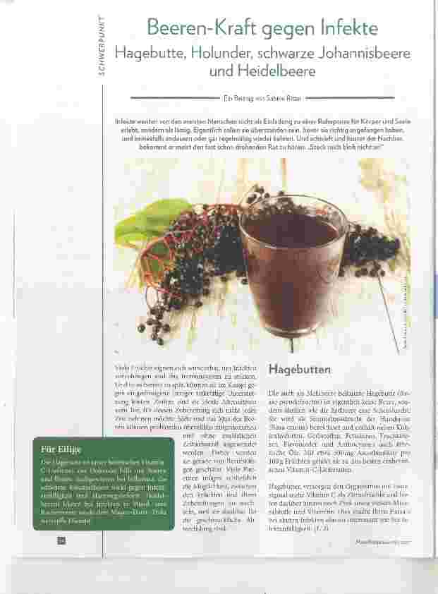 Vorschauseite 1: Beeren-Kraft gegen Infekte Hagebutte, Holunder, schwarze Johannisbeere und Heidelbeere