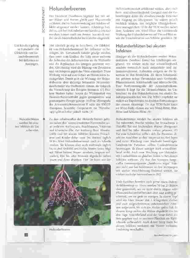 Vorschauseite 3: Beeren-Kraft gegen Infekte Hagebutte, Holunder, schwarze Johannisbeere und Heidelbeere