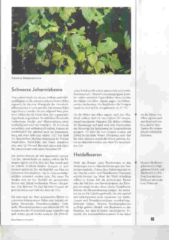 Vorschauseite 4: Beeren-Kraft gegen Infekte Hagebutte, Holunder, schwarze Johannisbeere und Heidelbeere
