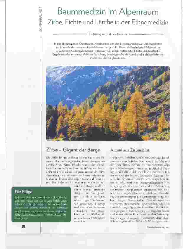 Vorschauseite 1: Baummedizin im Alpenraum Zirbe, Fichte und Lärche in der Ethnomedizin