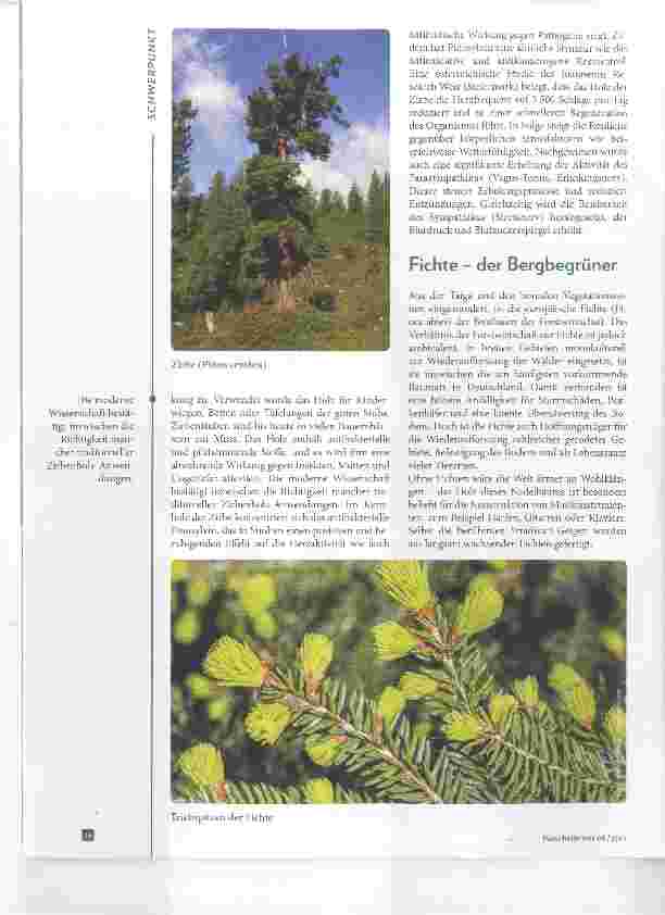 Vorschauseite 3: Baummedizin im Alpenraum Zirbe, Fichte und Lärche in der Ethnomedizin