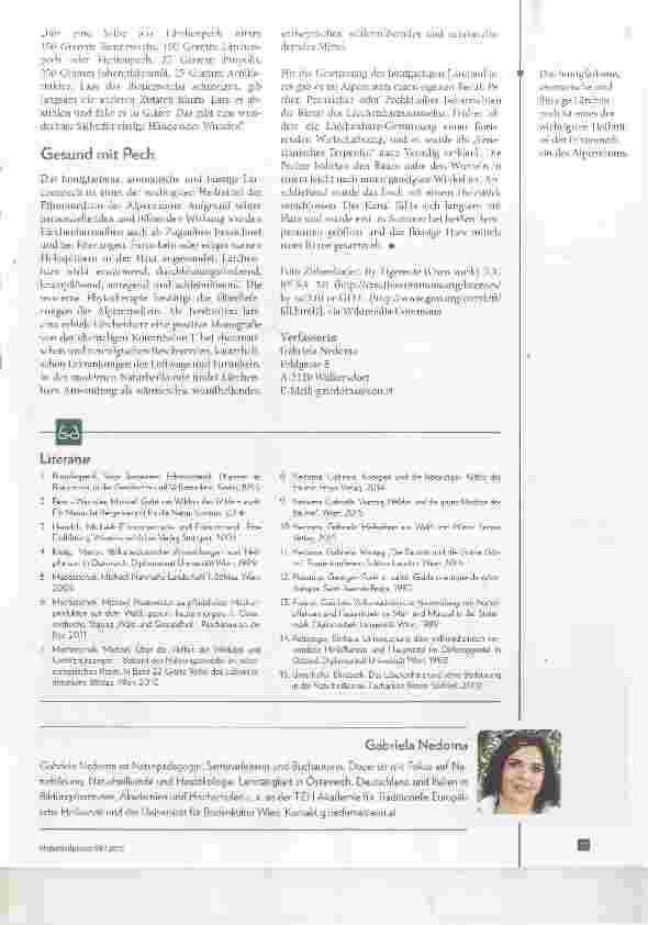 Vorschauseite 6: Baummedizin im Alpenraum Zirbe, Fichte und Lärche in der Ethnomedizin