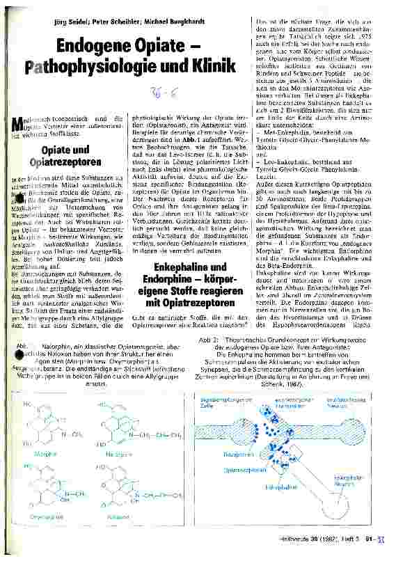 Vorschauseite 1: Endogene Opiate - Pathophysiologie und Klinik