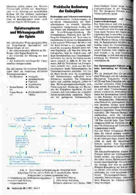 Vorschauseite 2: Endogene Opiate - Pathophysiologie und Klinik