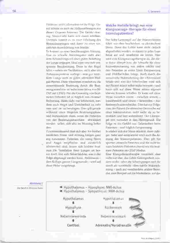 Vorschauseite 2: Macht der Einsatz von Klangschalen auf einer Intensivstation Sinn? Klangschalen als Ergänzung von Hochtechnologie und medikamentöser Therapie