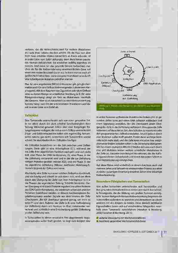 Vorschauseite 5: Genetische Grundlagen der Krebsentstehung
