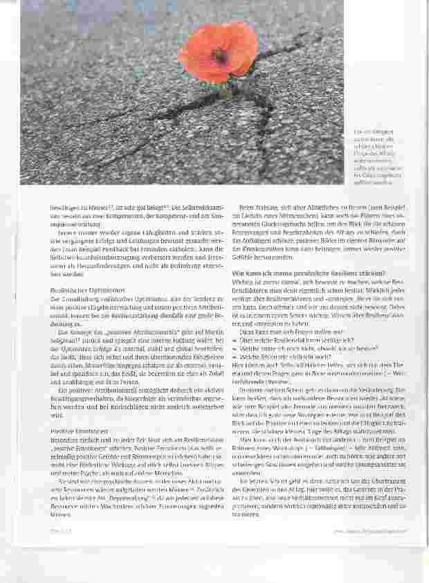 Vorschauseite 4: Schutzschild gegen Stress