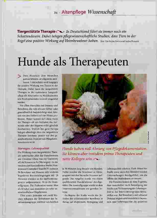 Vorschauseite 1: Hunde als Therapeuten