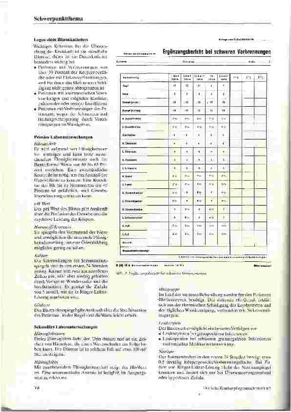 Vorschauseite 3: Die Initialbehandlung des Patienten mit Brandverletzungen
