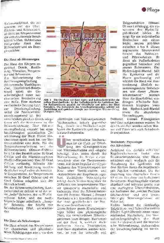 Vorschauseite 2: Die Bedeutung der Haut und deren Pflege für den Kranken Menschen