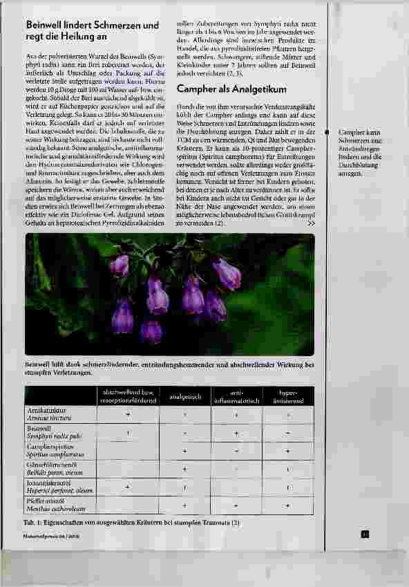 Vorschauseite 2: Phytotherapie bei stumpfen Verletzungen