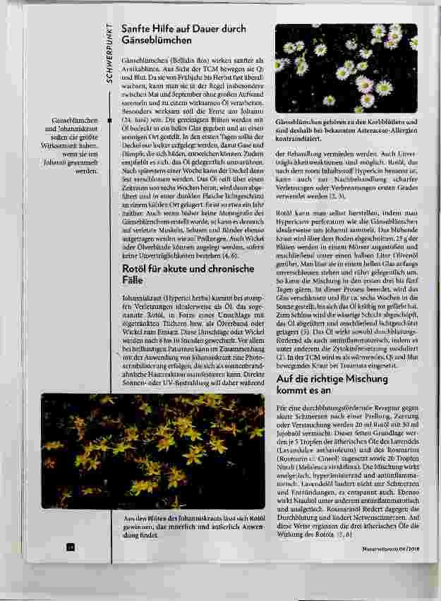 Vorschauseite 3: Phytotherapie bei stumpfen Verletzungen