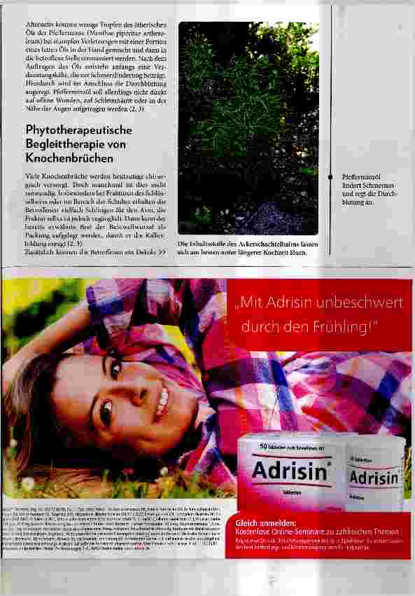 Vorschauseite 4: Phytotherapie bei stumpfen Verletzungen