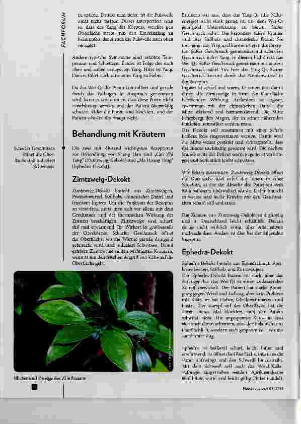 Vorschauseite 3: Kälteangriffe und ihre Behandlung Mit den antiken Konzepten des Shang Han Lun