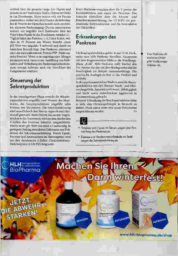 Vorschauseite 2: Naturheilkundliche Behandlung bei Pankreaserkrankungen