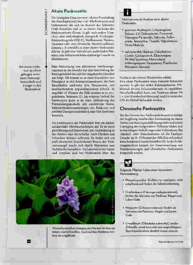 Vorschauseite 3: Naturheilkundliche Behandlung bei Pankreaserkrankungen