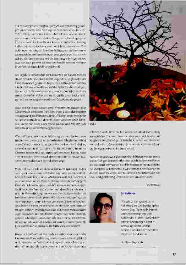 Vorschauseite 2: Grenzen und der Umgang damit in der ambulanten Palliative-Care-Pflege