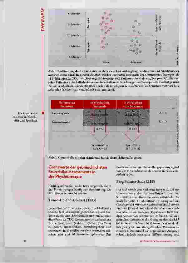 Vorschauseite 2: Sturzrisiko-Assessments