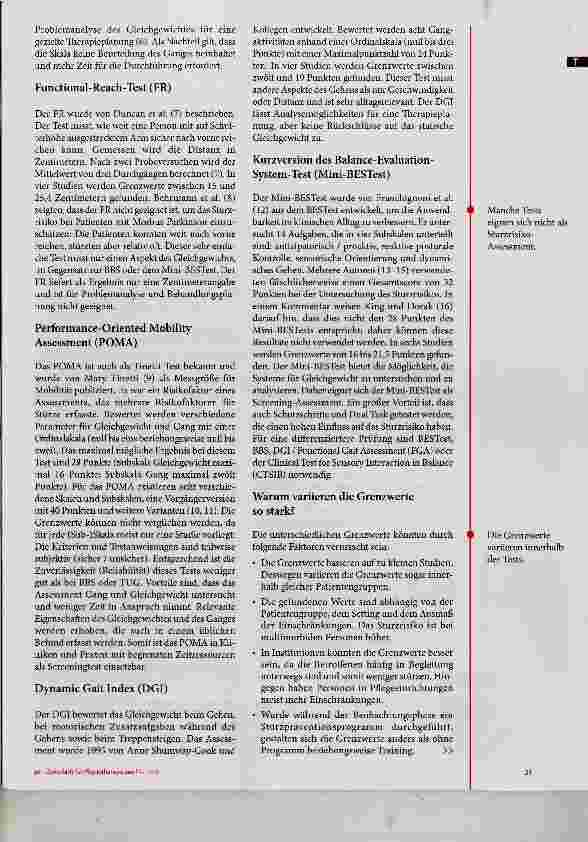 Vorschauseite 3: Sturzrisiko-Assessments