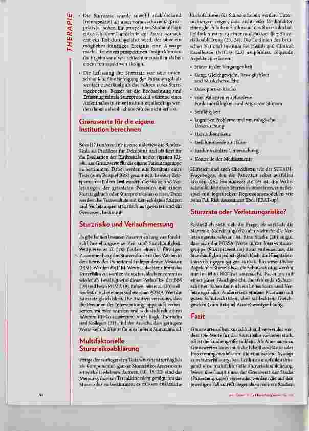 Vorschauseite 4: Sturzrisiko-Assessments