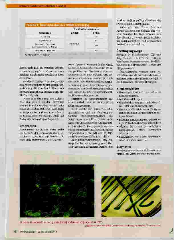 Vorschauseite 2: Pseudomonas aeruginosa