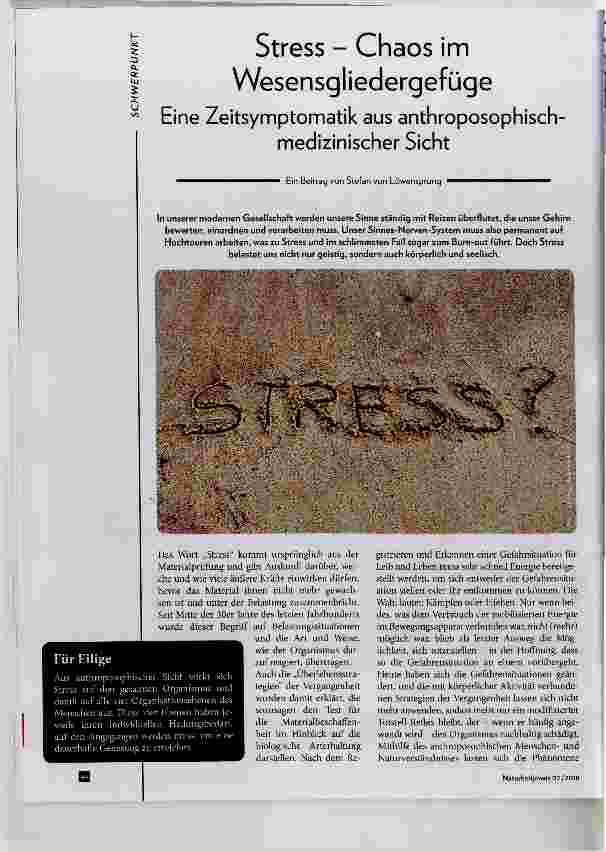 Vorschauseite 1: Stress - Chaos im Wesensgliedergefüge