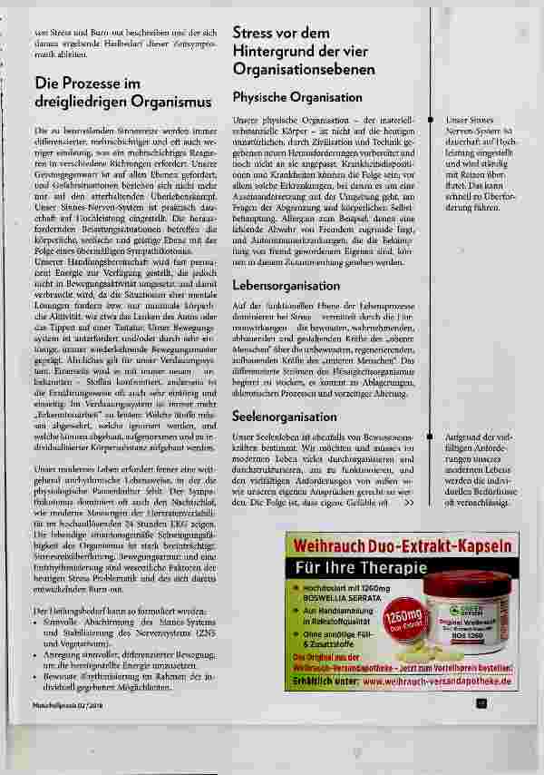 Vorschauseite 2: Stress - Chaos im Wesensgliedergefüge