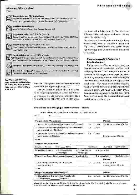 Vorschauseite 3: Entwicklung von Pflegestandards Instrument für die dezentrale Erhebung der Pflegequalität