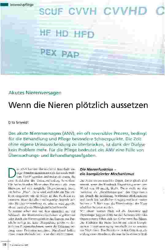 Vorschauseite 1: Wenn die Nieren plötzlich aussetzen