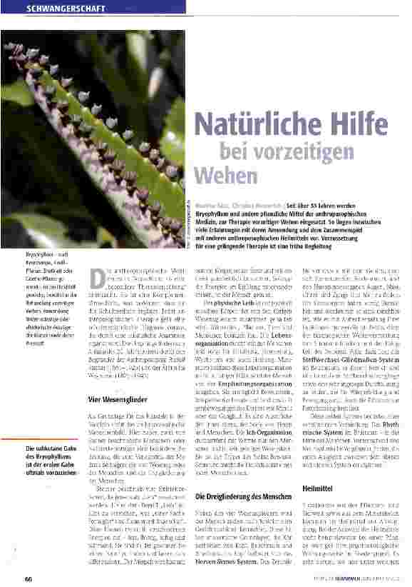Vorschauseite 1: Natürliche Hilfe bei vorzeitigen Wehen