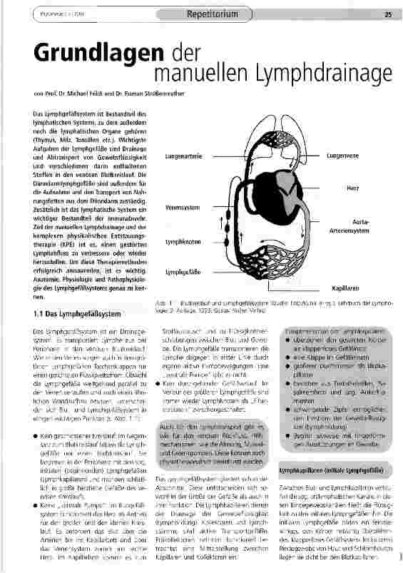 Vorschauseite 1: Grundlagen der manuellen Lymphdrainage
