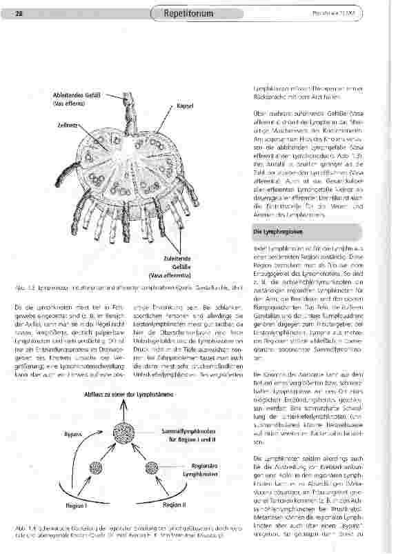 Vorschauseite 4: Grundlagen der manuellen Lymphdrainage