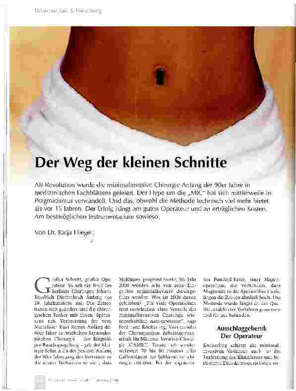 Vorschauseite 1: Der Weg der kleinen Schnitte