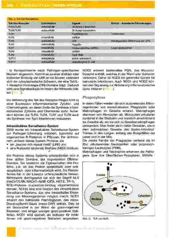 Vorschauseite 5: Das Immunsystem (Teil 1-7) Teil 1: Das angeborene Immunsystem