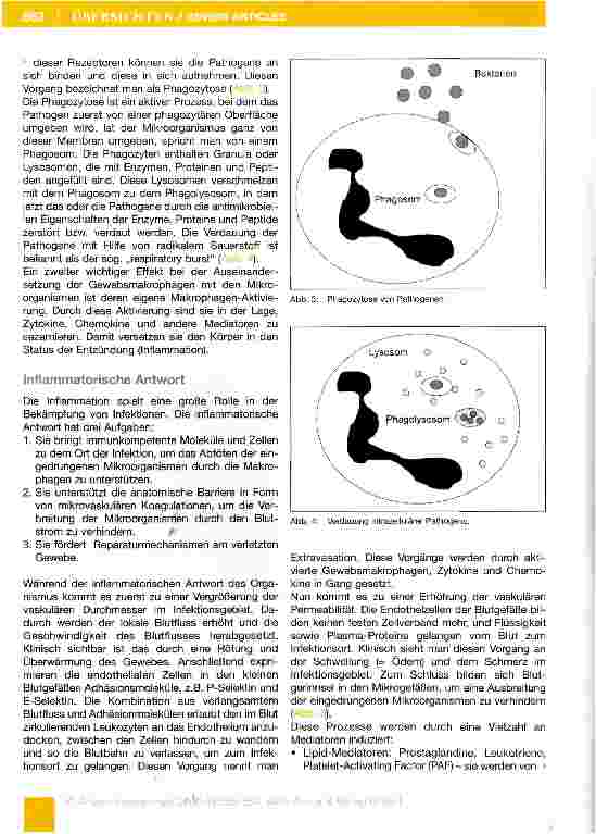 Vorschauseite 6: Das Immunsystem (Teil 1-7) Teil 1: Das angeborene Immunsystem