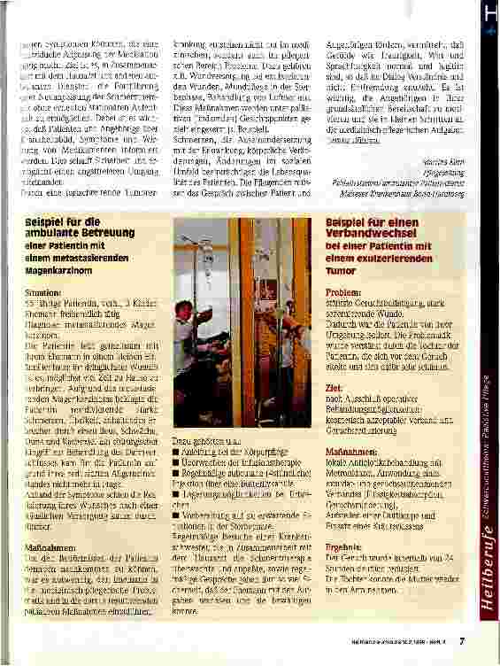 Vorschauseite 2: Palliative Pflege zuhause Aufgaben des ambulanten Palliativdienstes